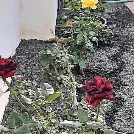 Casa Nala Vistas Al Mar בית נופש